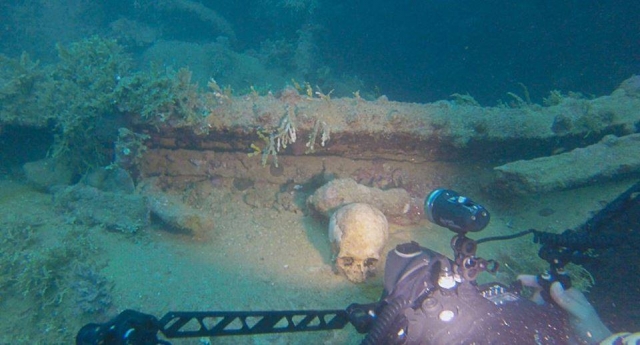  photographie sous-marine 